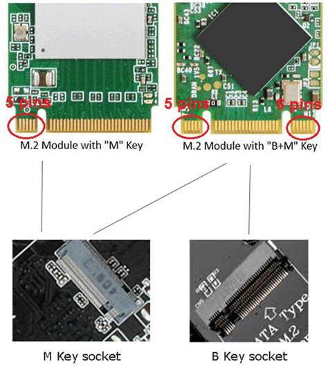 crucial memory compatibility|crucial ssd compatibility check.